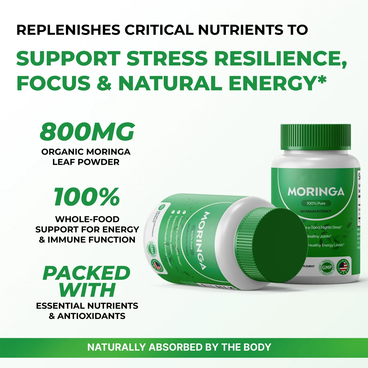 Moringa